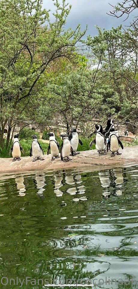 cocolinaa69 model exclusive image