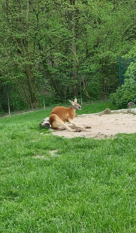 cocolinaa69 star best picture