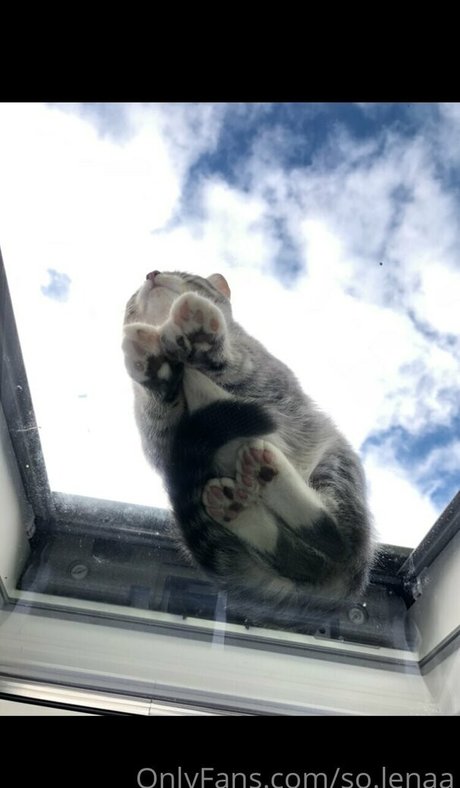 so lenaa hot pornstar img