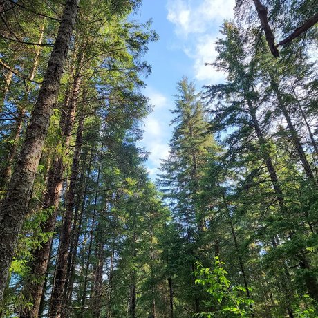 Armand William top star pictures