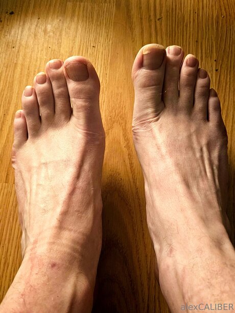 Alex Caliber sex pornstar img