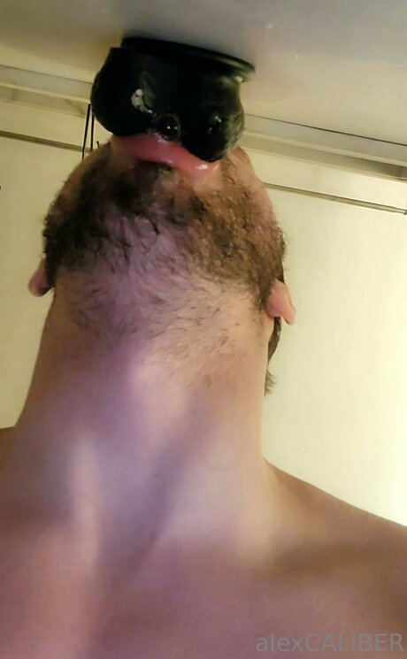 Alex Caliber sexy pornstar pic