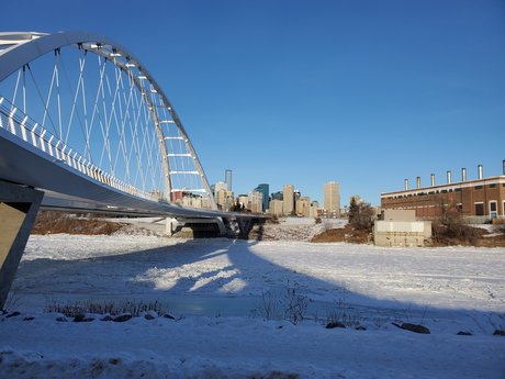 All Strapped Up pornstar free img