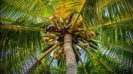 Eros Mezzanotte adult actress archive