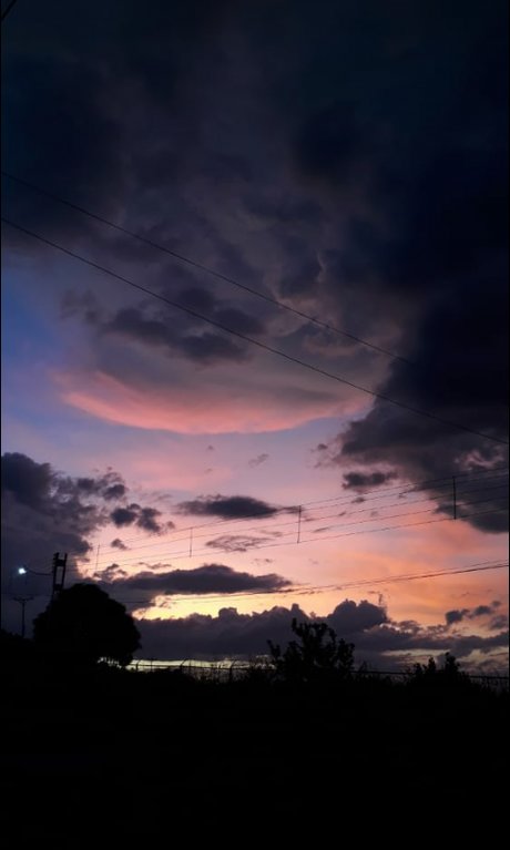 Alondra Su rez model top pic