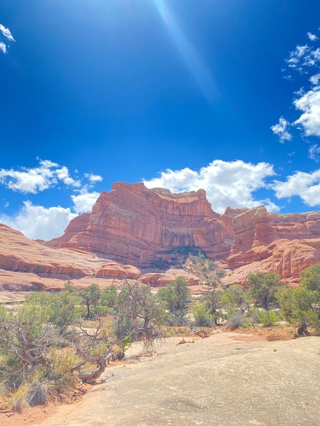 Adventure Soles top actress archive