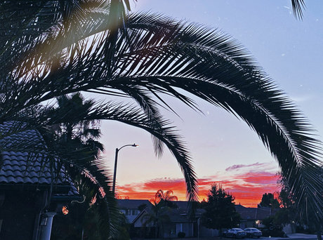 Newdsconnoisseurs free pornstar images