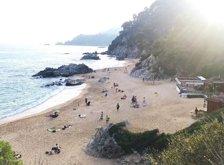 Nudism and Toys art star photo