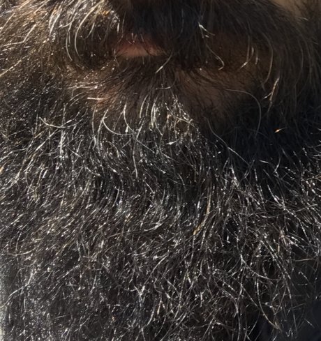 306 hardluck hd pornstar galleries