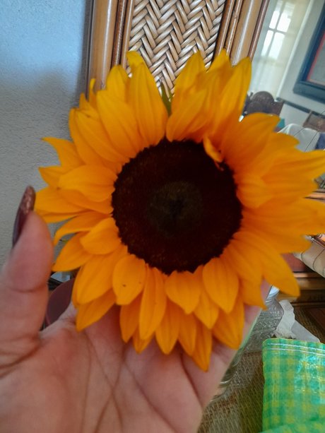 _Ojitos_ adult actress pictures