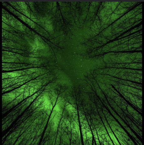 Ocean Irving pornstar nudes galleries