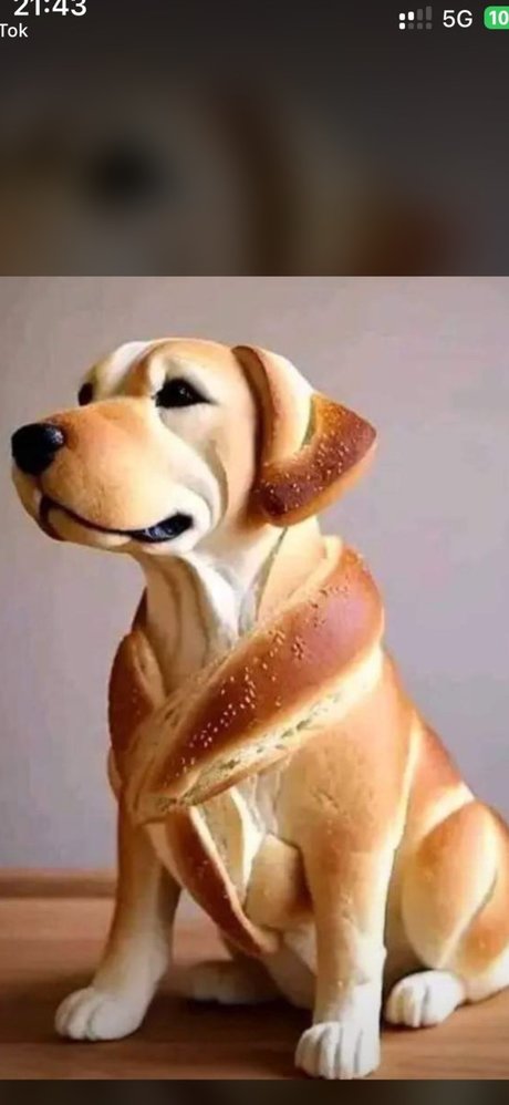 Only naked actress pic