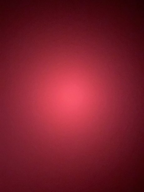 OnlyDashian model adult pic