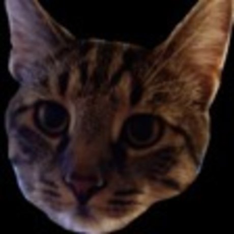 OnlyCats pornstar galleries