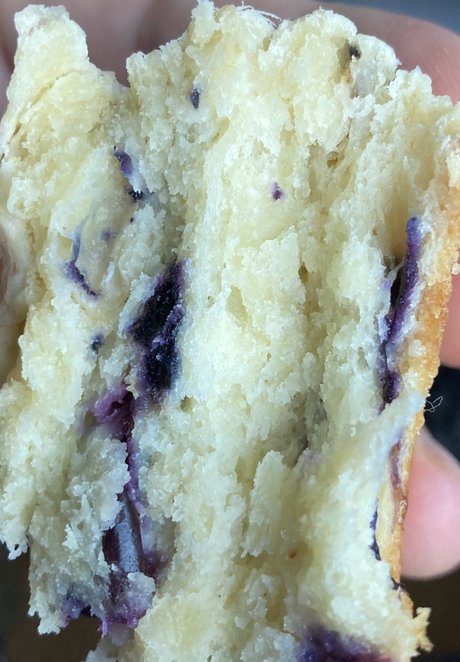 Only Pans free pornstar pic