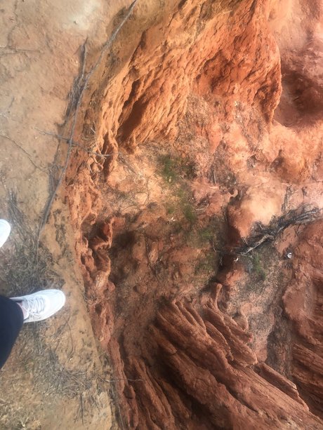 babysitter onlyfans free sexy gallery