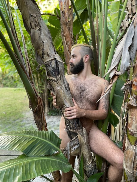 Abe Monroe nude star image