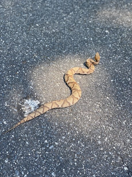 SlingBlade33 pornstar xxx galleries