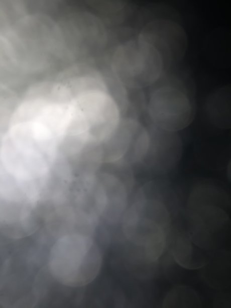 Dany9111 sexy pornstar img