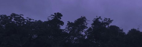 Hunter Rose adult model archive