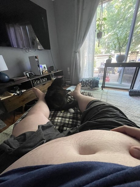 JareBear star adult images