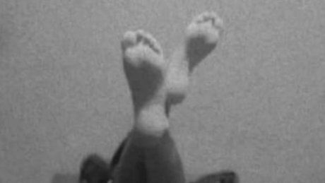 Paola Rodriguez perfect model pics