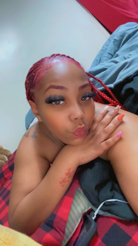 PANAMA_ model perfect archive