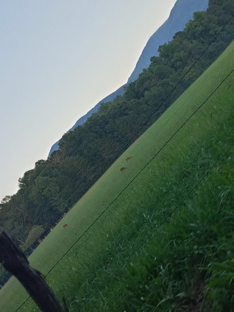 Alecia Ray star hd pics