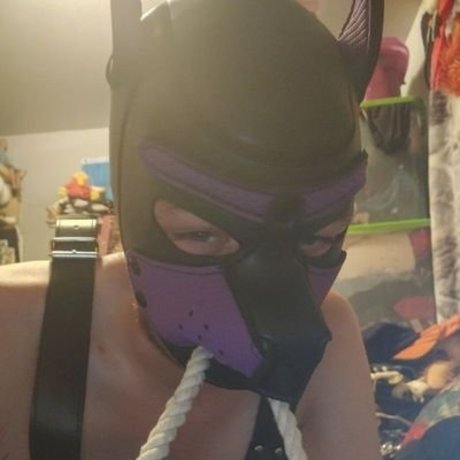 Aldawin The Love Husky star free galleries