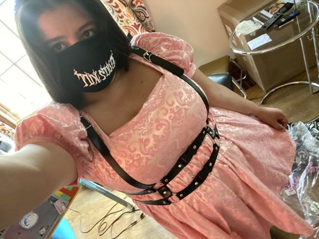 Persephone Northwest art star photos