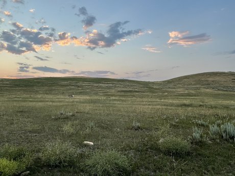 Deek model exclusive images