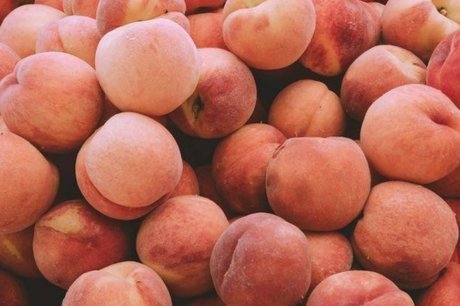 avlan star xxx picture