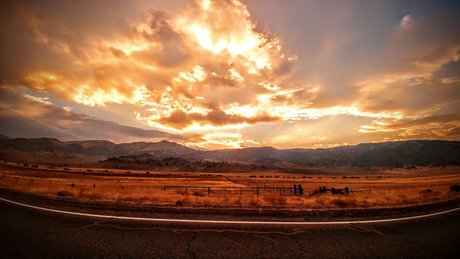 Peach blossom model xxx photos