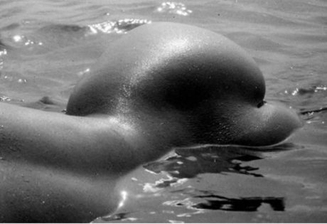 gay teen onlyfans erotic pic