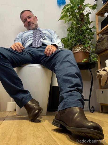 Daddy bear model high quality images