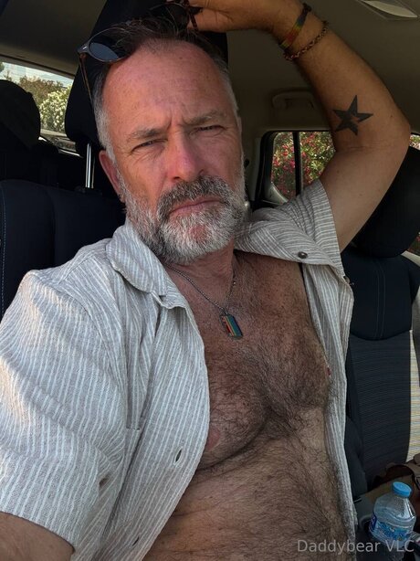Daddy bear model free photos