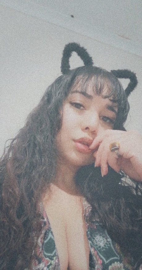 Pink Penny star picture