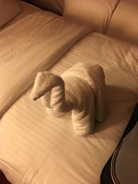 lesbian fingering onlyfans pornos img