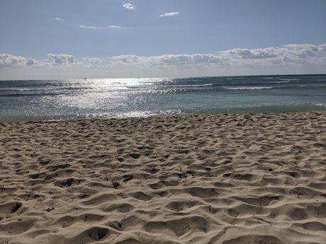 PGHOtter310 adult model picture