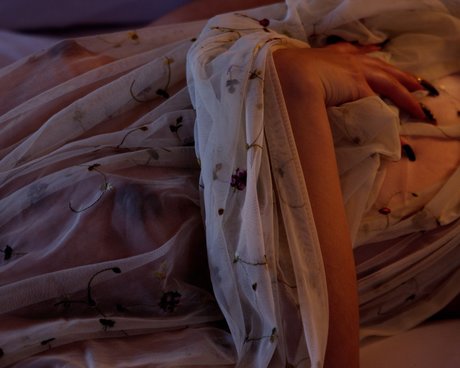 PLUTO_ star adult img