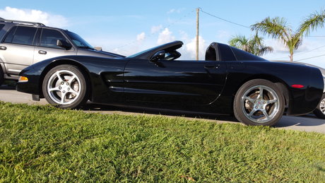 Jay W pretty star picture