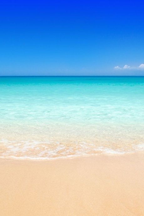 Ms Marie Honda pretty actress photos