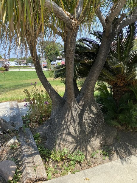 JDwilling porn actress galleries