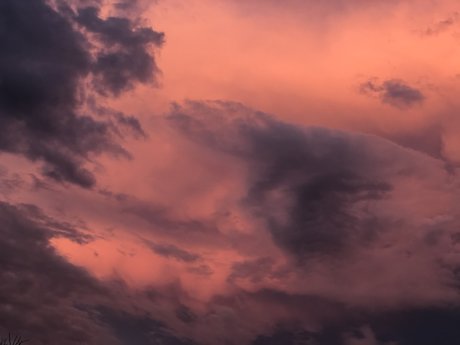 chels perfect model picture