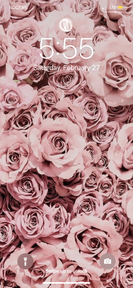 Coochy amp ampCream pornstar sexy images