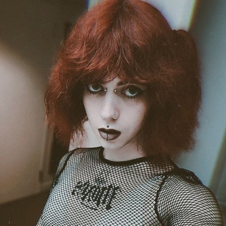 Laine Casper star top picture