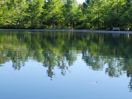 red hair onlyfans adult picture