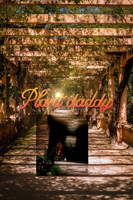 Plant Daddy star sex image