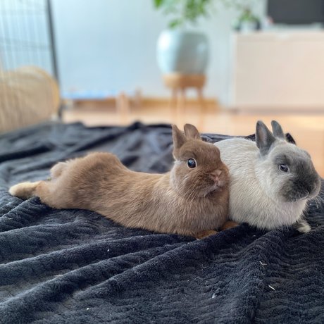 squat onlyfans hot porn picture