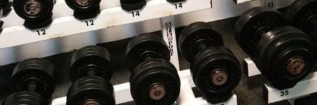 Pony Tails high quality pornstar picture